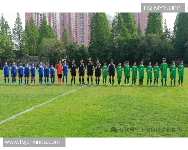 上海足球队在锦标赛中的战术分析与表现评估