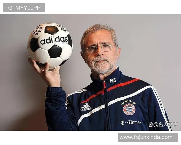 谁是足球界发量最多的明星球员揭秘与比较