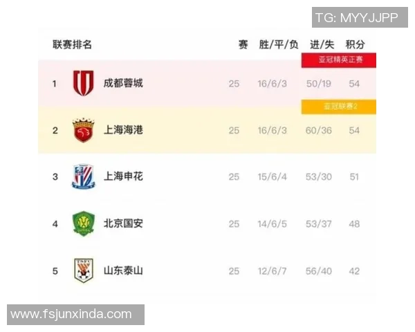 上海排球队强势领跑城市联赛积分榜积55分展现冠军实力