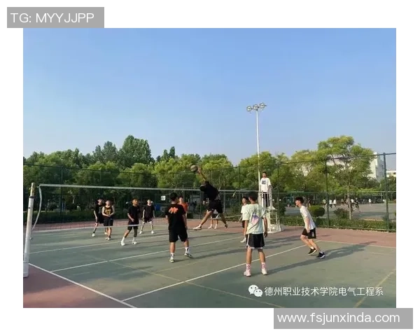 深圳排球队战术解析：从技术细节到团队协作的全方位探讨